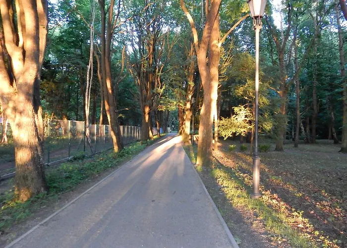 בית אירוח Selavi *